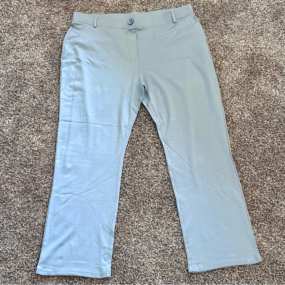 Sky Blue Stretchy Pants (471)